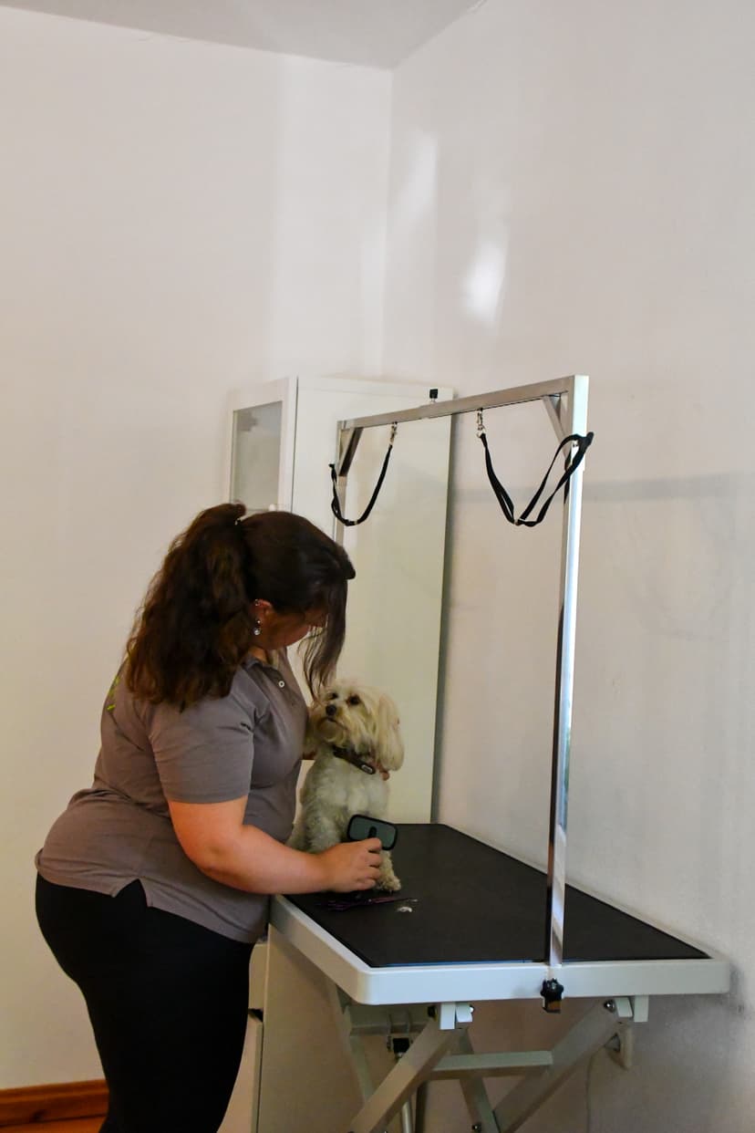 Hundefriseur 2
