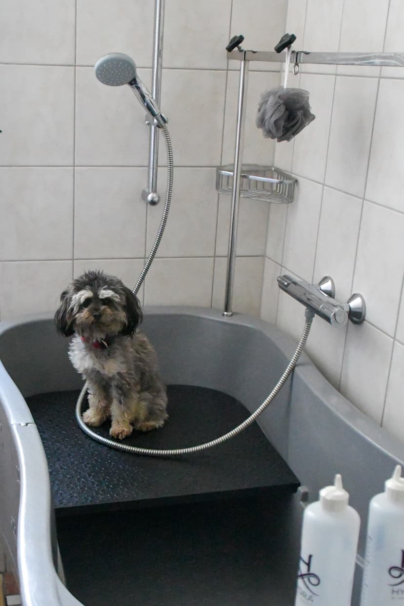Hundefriseur