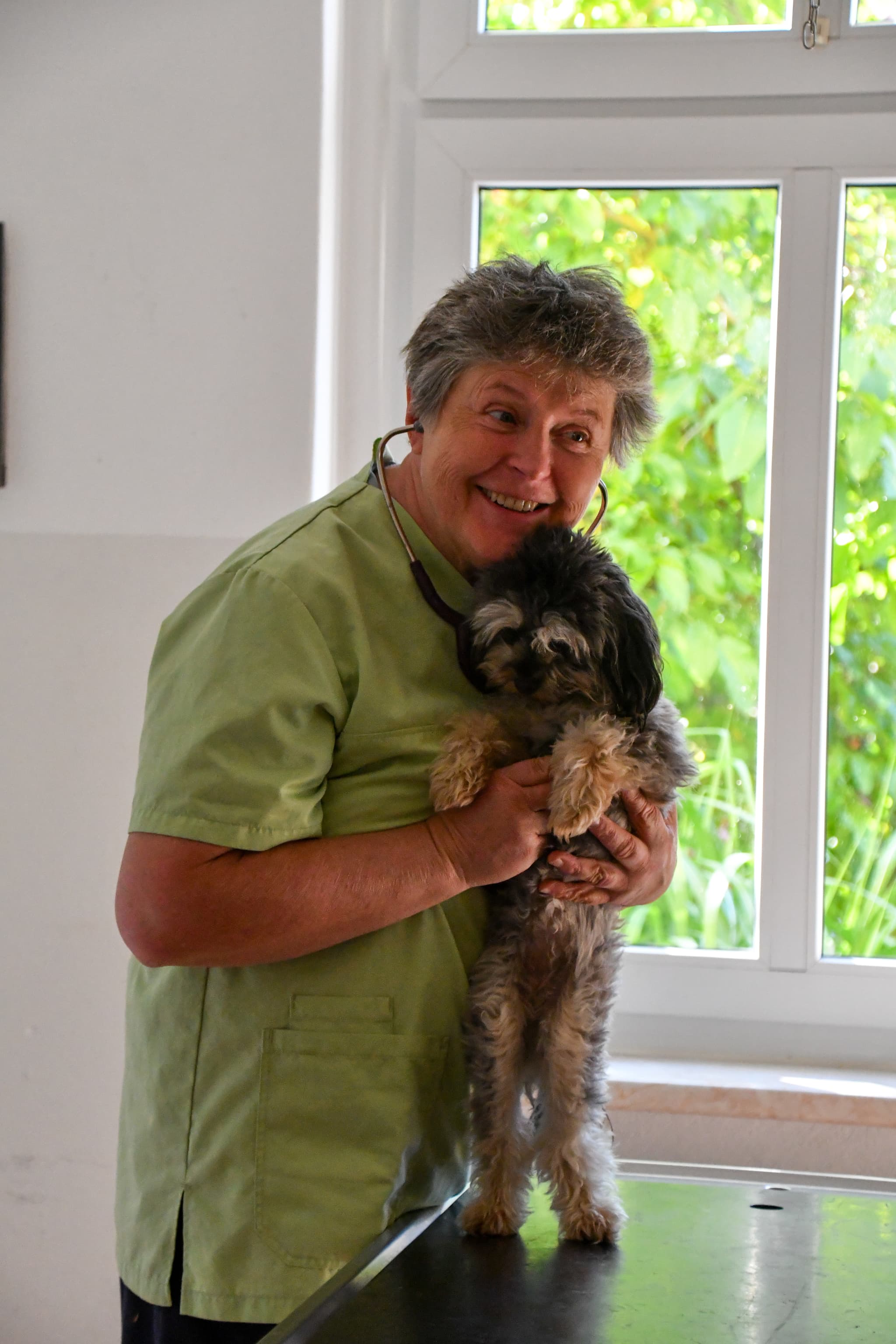 Katze winkt im Arm eines Arztes