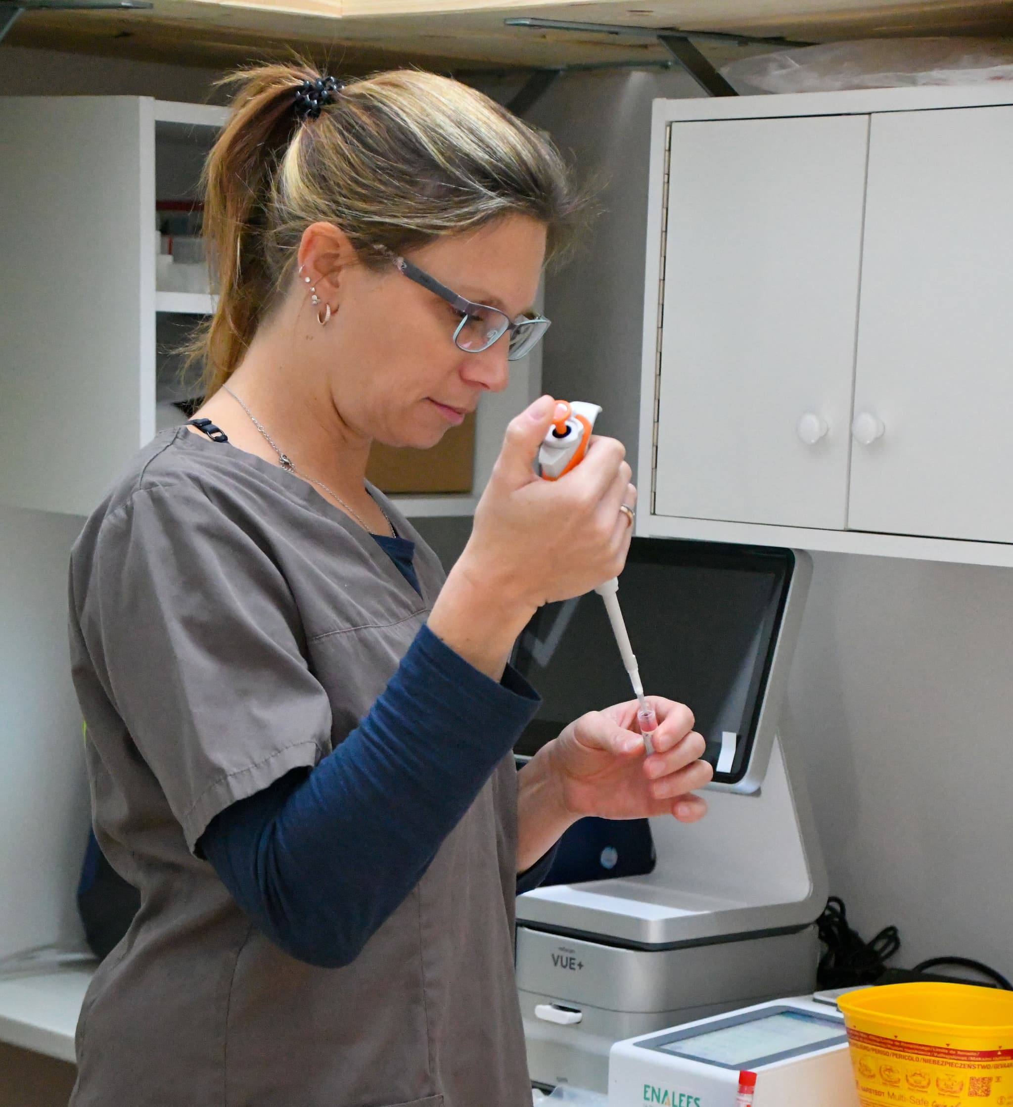 Hund mit Kragen schaut nach oben